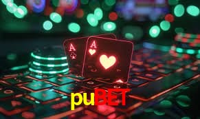 Segurança 2FA pubet