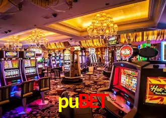pubet Rio de Janeiro - Bonus Terms