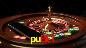 Experiência VIP pubet